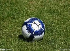 華子聲援下,森林狼堅定,尋找定位,新葡京,新葡京app,新葡京娱乐,新普京赌场